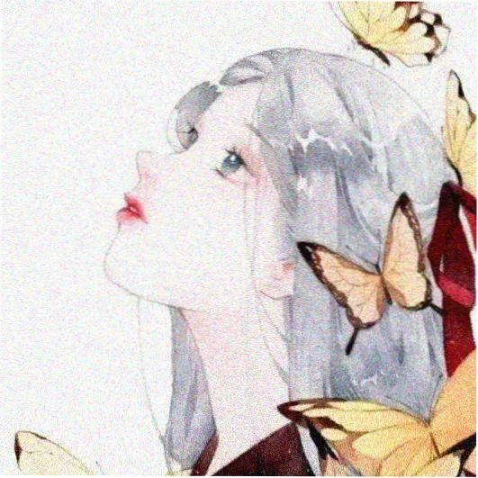 读者半夏头像